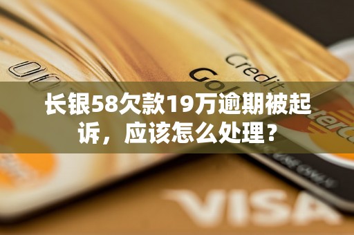 长银58欠款19万逾期被起诉，应该怎么处理？