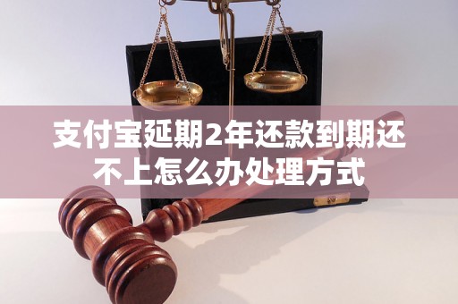 支付宝延期2年还款到期还不上怎么办处理方式