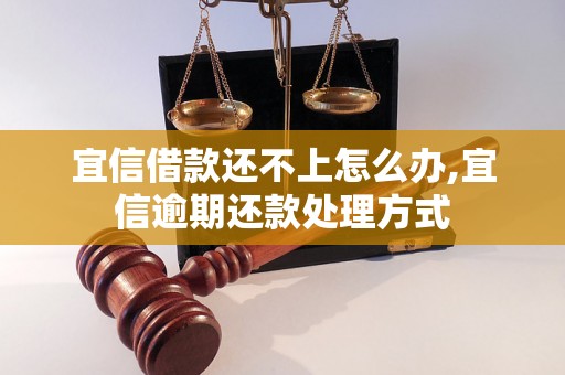 宜信借款还不上怎么办,宜信逾期还款处理方式