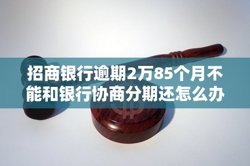 招商银行逾期2万85个月不能和银行协商分期还怎么办？