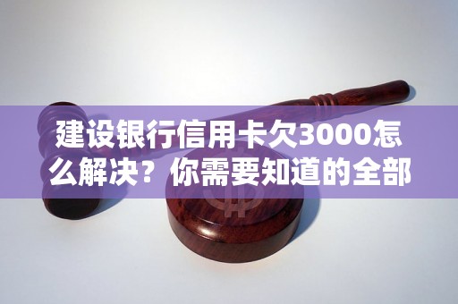 建设银行信用卡欠3000怎么解决？你需要知道的全部解决方法