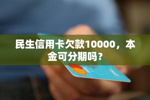 民生信用卡欠款10000，本金可分期吗？