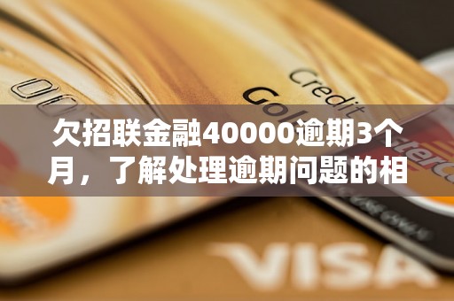 欠招联金融40000逾期3个月，了解处理逾期问题的相关流程和方法