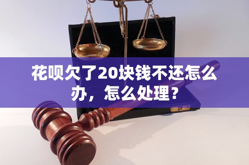 花呗欠了20块钱不还怎么办，怎么处理？