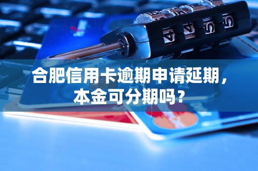 合肥信用卡逾期申请延期，本金可分期吗？