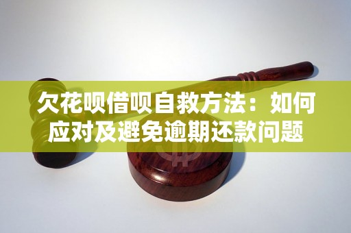 欠花呗借呗自救方法：如何应对及避免逾期还款问题