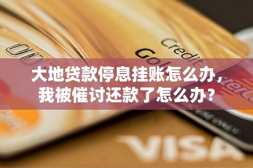 大地贷款停息挂账怎么办，我被催讨还款了怎么办？