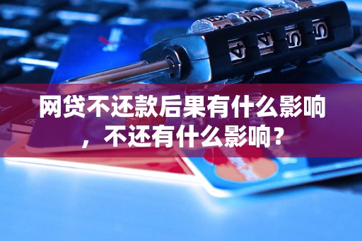 网贷不还款后果有什么影响，不还有什么影响？