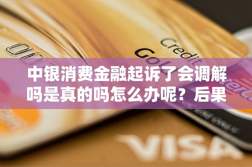 中银消费金融起诉了会调解吗是真的吗怎么办呢？后果会怎样？