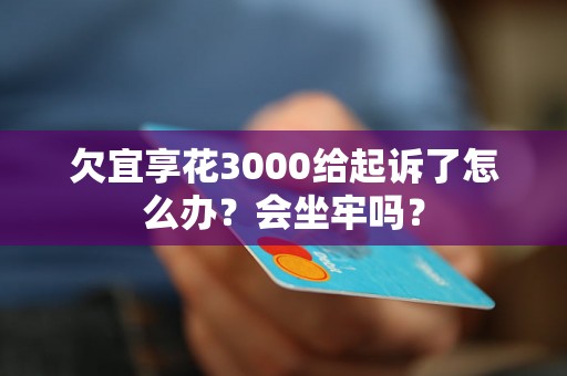 欠宜享花3000给起诉了怎么办？会坐牢吗？