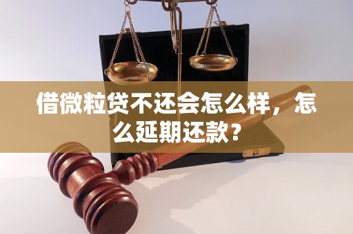 借微粒贷不还会怎么样，怎么延期还款？