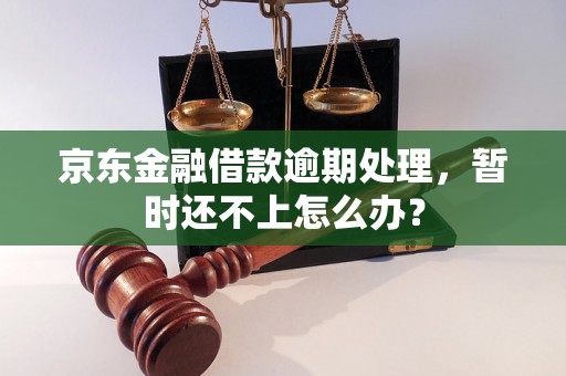 京东金融借款逾期处理，暂时还不上怎么办？