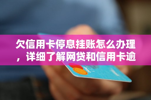 欠信用卡停息挂账怎么办理，详细了解网贷和信用卡逾期法律后果