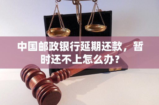 中国邮政银行延期还款，暂时还不上怎么办？