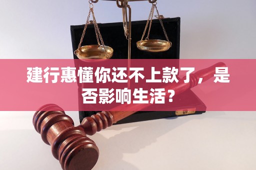 建行惠懂你还不上款了，是否影响生活？