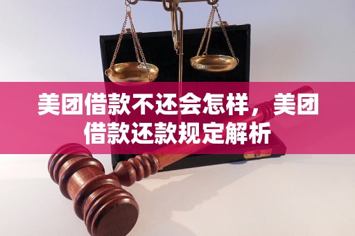 美团借款不还会怎样，美团借款还款规定解析