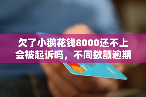 欠了小鹅花钱8000还不上会被起诉吗，不同数额逾期的协商还款经验分享