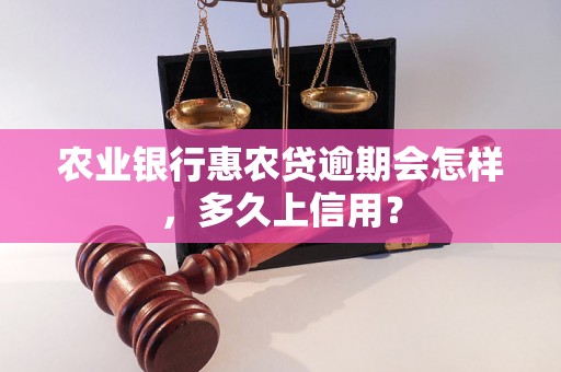 农业银行惠农贷逾期会怎样，多久上信用？