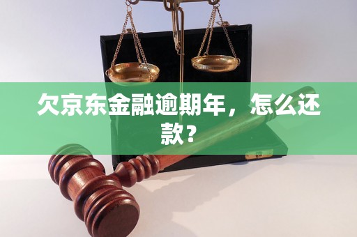 欠京东金融逾期年，怎么还款？