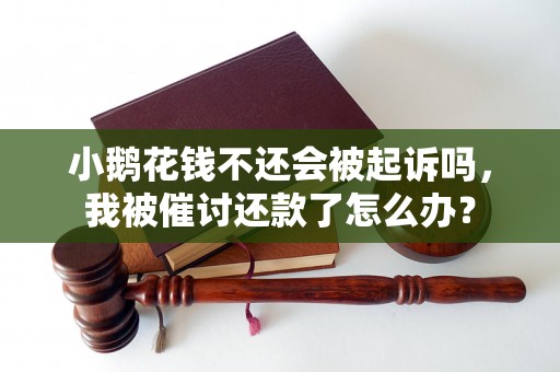 小鹅花钱不还会被起诉吗，我被催讨还款了怎么办？