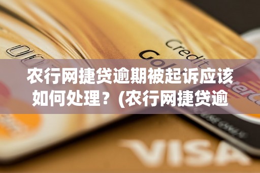 农行网捷贷逾期被起诉应该如何处理？(农行网捷贷逾期被起诉后应该怎么办)