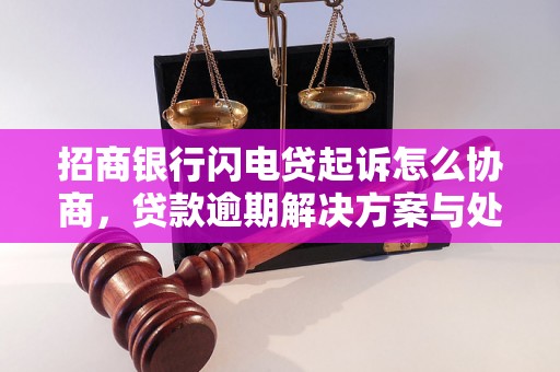 招商银行闪电贷起诉怎么协商，贷款逾期解决方案与处理策略