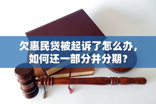 欠惠民贷被起诉了怎么办，如何还一部分并分期？