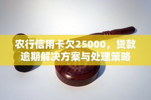 农行信用卡欠25000，贷款逾期解决方案与处理策略