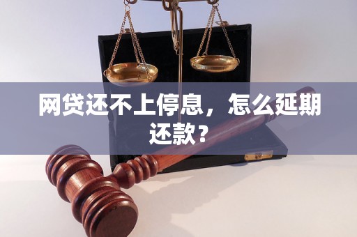 网贷还不上停息，怎么延期还款？