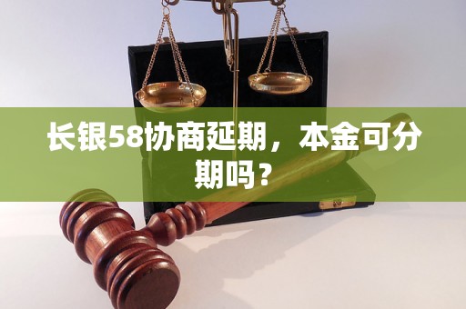 长银58协商延期，本金可分期吗？