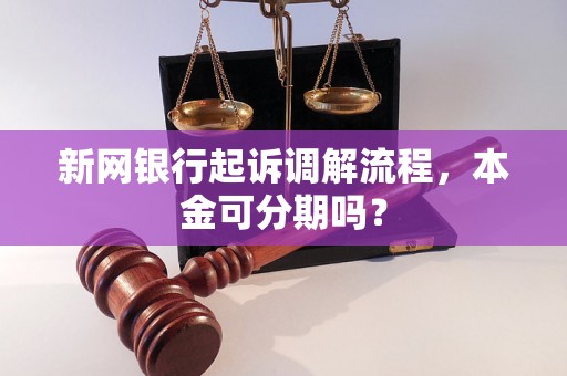 新网银行起诉调解流程，本金可分期吗？