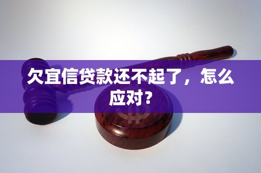 欠宜信贷款还不起了，怎么应对？