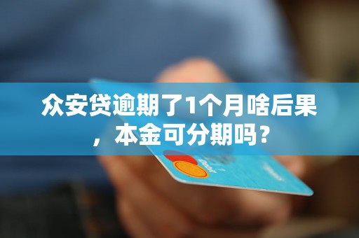 众安贷逾期了1个月啥后果，本金可分期吗？