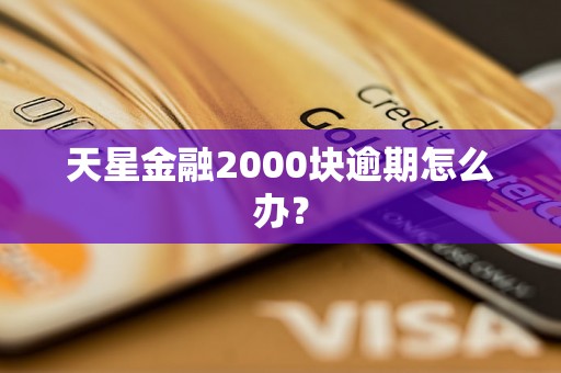 天星金融2000块逾期怎么办？