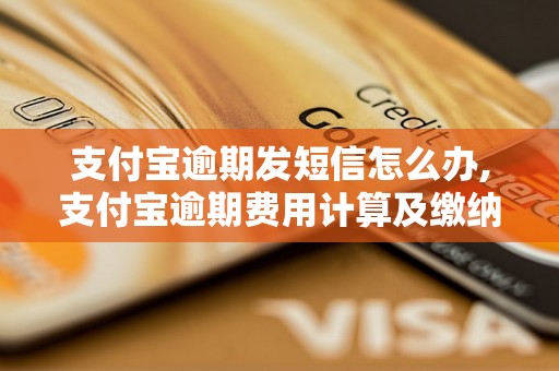 支付宝逾期发短信怎么办,支付宝逾期费用计算及缴纳方式