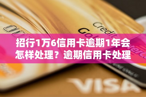 招行1万6信用卡逾期1年会怎样处理？逾期信用卡处理流程详解