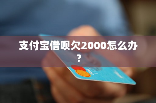 支付宝借呗欠2000怎么办？