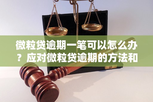 微粒贷逾期一笔可以怎么办？应对微粒贷逾期的方法和技巧