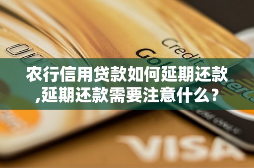 农行信用贷款如何延期还款,延期还款需要注意什么？