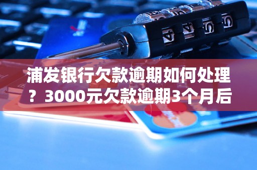 浦发银行欠款逾期如何处理？3000元欠款逾期3个月后的后果