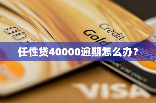 任性贷40000逾期怎么办？