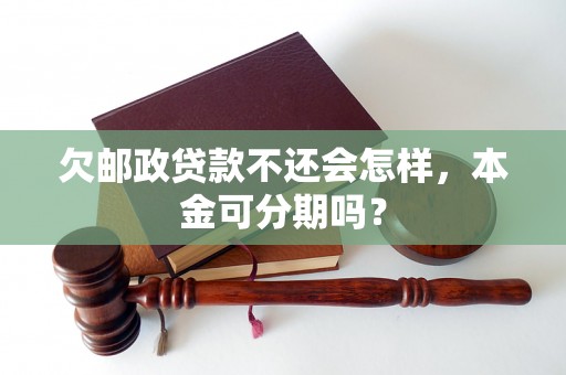 欠邮政贷款不还会怎样，本金可分期吗？