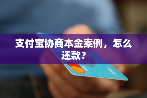 支付宝协商本金案例，怎么还款？