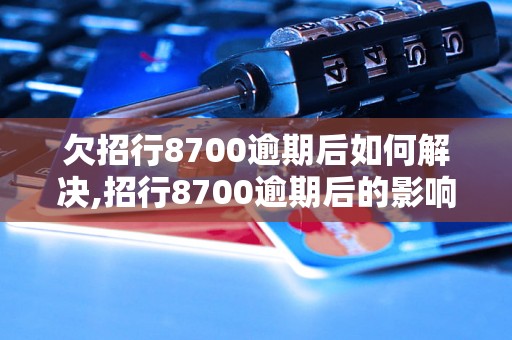 欠招行8700逾期后如何解决,招行8700逾期后的影响与应对措施