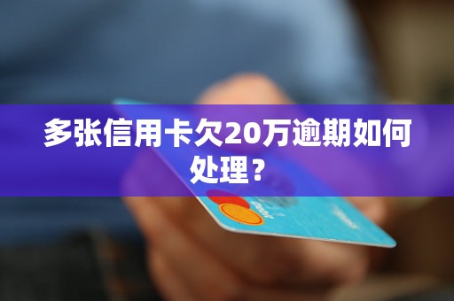 多张信用卡欠20万逾期如何处理？