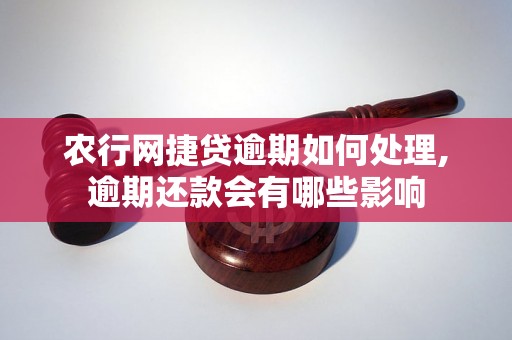 农行网捷贷逾期如何处理,逾期还款会有哪些影响