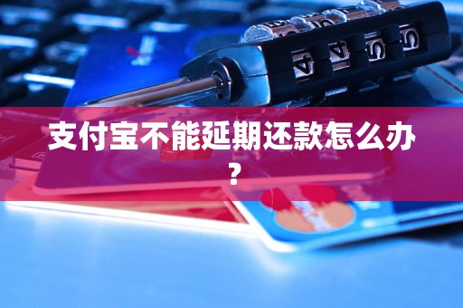 支付宝不能延期还款怎么办？