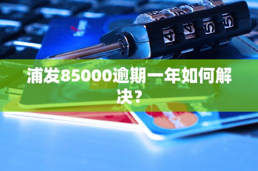 浦发85000逾期一年如何解决？