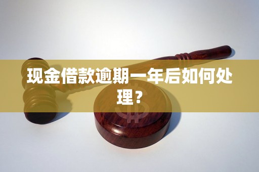 现金借款逾期一年后如何处理？