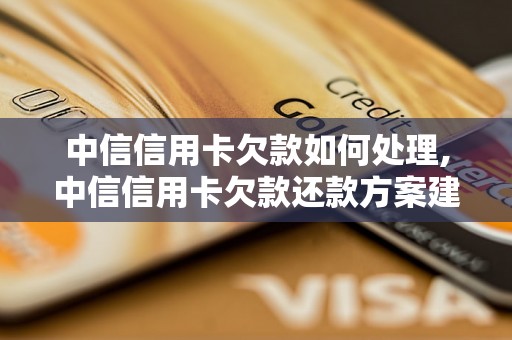 中信信用卡欠款如何处理,中信信用卡欠款还款方案建议